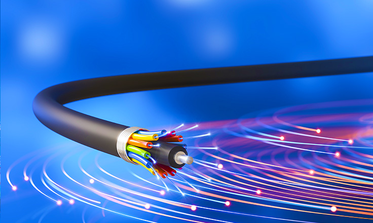 The Role of Fiber Optic Networks in Critical Infrastructure The Role of Fiber Optic Networks in Critical Infrastructure